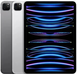 iPad Pro (2022) | 11 pouces